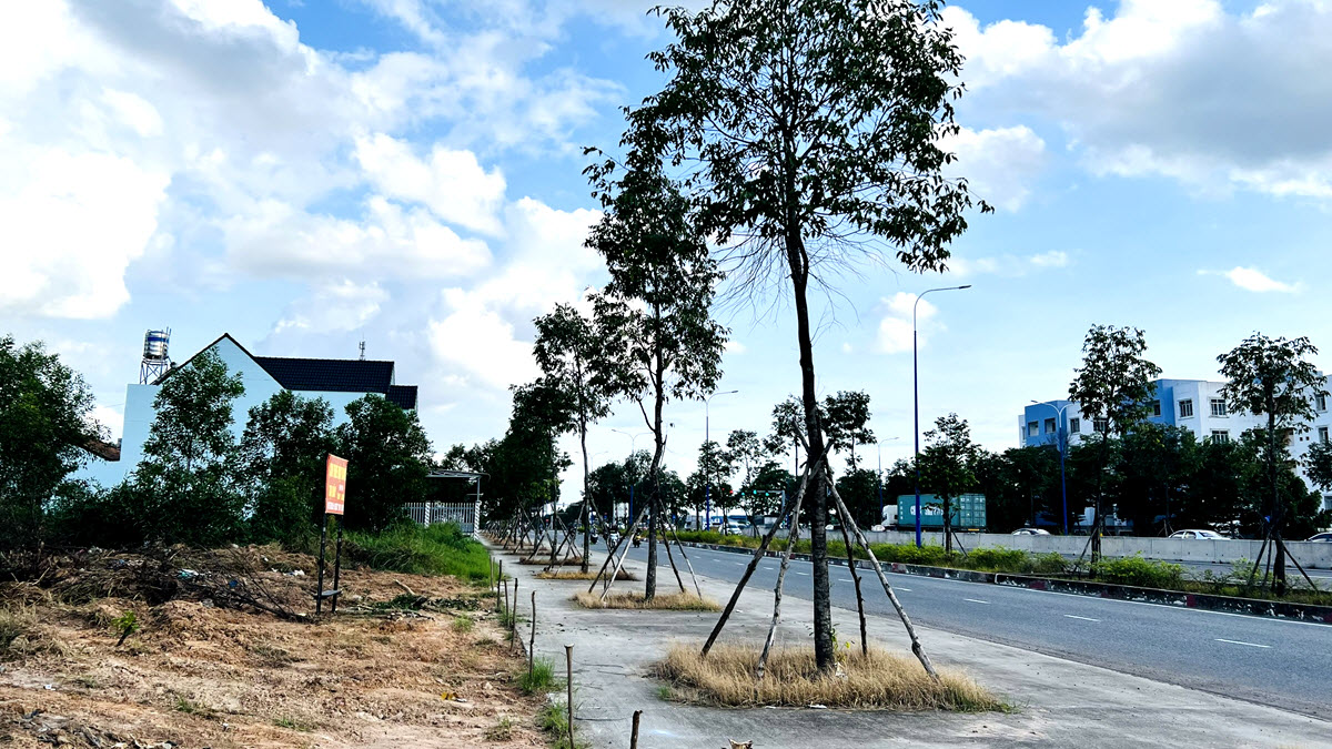 Cho thuê 20.000 m2 đất Mỹ Phước - Tân Vạn, Thuận An gần ngã 6 An Phú